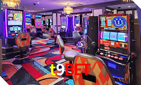 t9bet App Interface