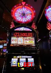 Jackpots e promoções na t9bet